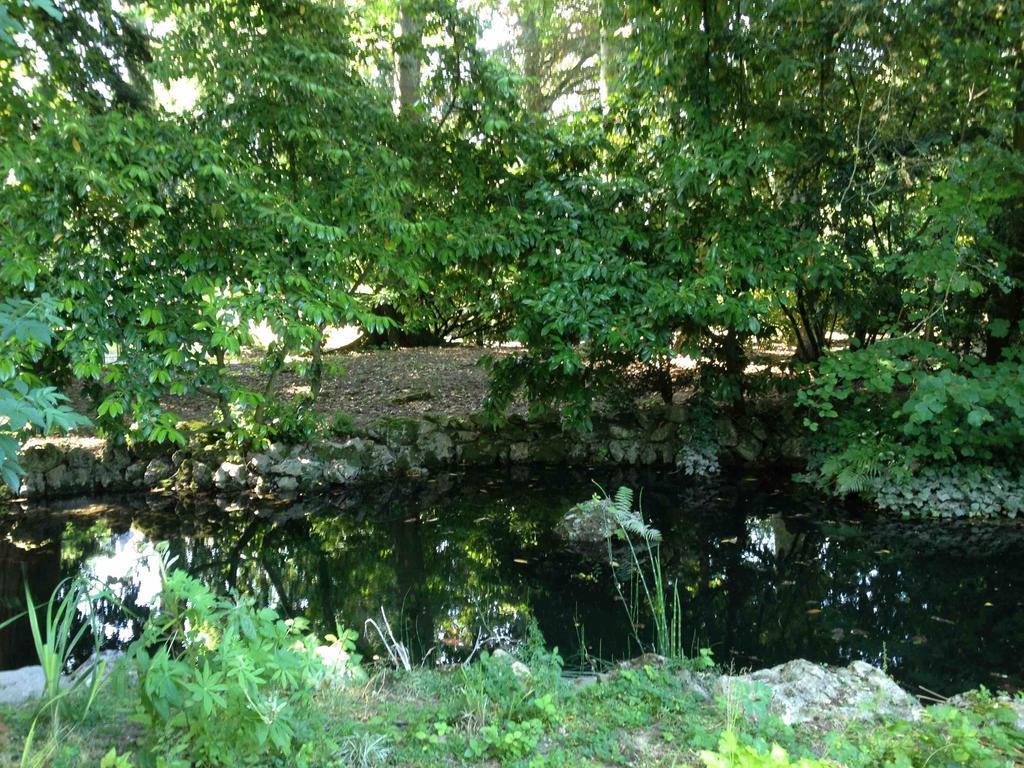 Chambre D'Hotes Les Rives De La Tronne Mer Luaran gambar